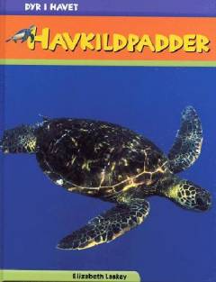 Havskildpadder