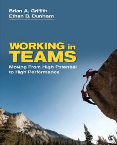 Working in teams : moving from high potential to high performance