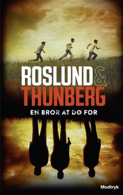 En bror at dø for. Bind 3 (Stor skrift)