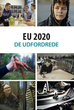 EU 2020 : de udfordrede