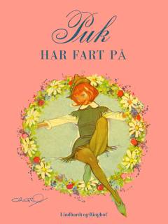 Puk har fart på : den niende bog om Puk