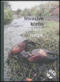 Invasive krebs : bestemmelsesnøgle