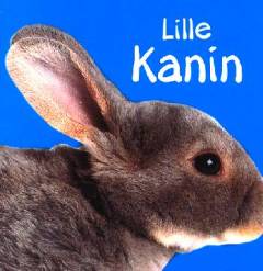 Lille kanin