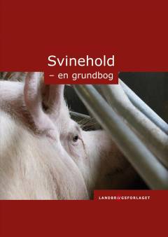 Svinehold : en grundbog