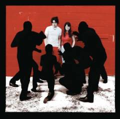 White blood cells