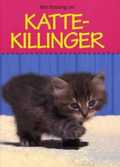 Min fotobog om kattekillinger