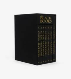 The black books : 1913-1932 : notebooks of transformation. Volume 5