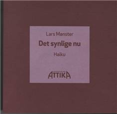 Det synlige nu