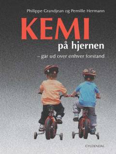 Kemi på hjernen : går ud over enhver forstand