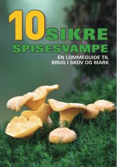 Bog, 2. udgave 2015, 2014