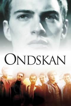 Film (dvd), 2005
