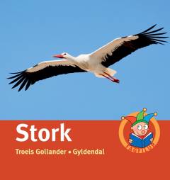 Stork