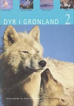 Dyr i Grønland. Bind 2 : Polarulv, polarhare, narhval, ren