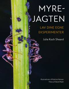 Myrejagten : lav dine egne eksperimenter