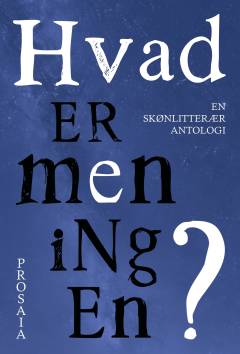 Hvad er meningen? : en skønlitterær antologi