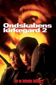 Film (dvd), 2004