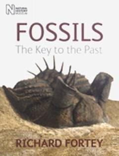 Fossils