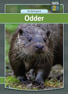 Bog, 1. udgave, 2023