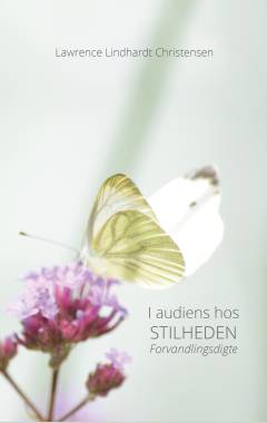 I audiens hos stilheden : forvandlingsdigte