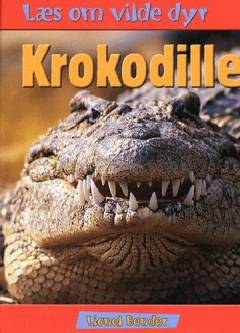 Krokodille
