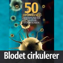 Blodet cirkulerer