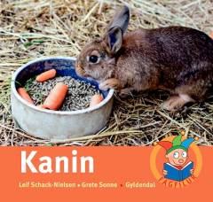 Kanin