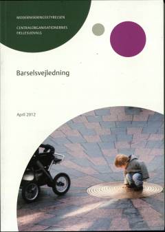 Barselsvejledning