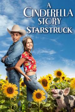 A Cinderella story - starstruck