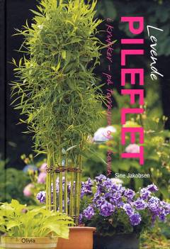 Levende pileflet i krukker : på terrassen og i haven