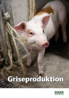 Griseproduktion