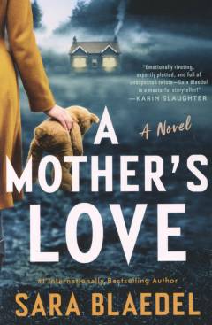 A mother's love : a novel