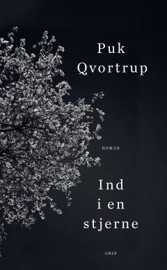 Ind i en stjerne
