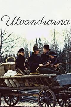Film (online), 2014