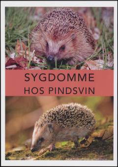 Sygdomme hos pindsvin : leksikon om de mest almindelige sygdomme og skader hos det vilde pindsvin