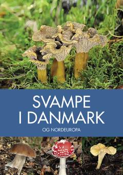 Svampe i Danmark og Nordeuropa