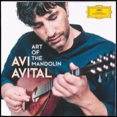 Art of the mandolin
