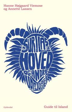 Surtlas hoved og andre udflugter : guide til Island