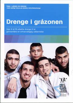 Drenge i gråzonen : veje til at få udsatte drenge til at gennemføre en erhvervsfaglig uddannelse