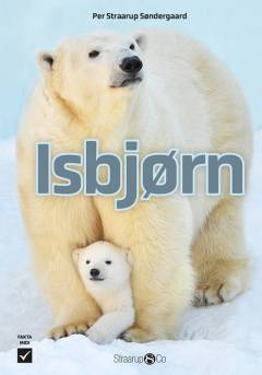 Isbjørn