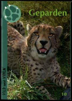Geparden