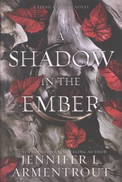 A shadow in the ember