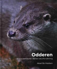 Odderen - en succeshistorie i dansk naturforvaltning