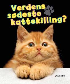 Verdens sødeste kattekilling?