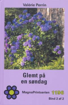 Glemt på en søndag. Bind 2 (Stor skrift)
