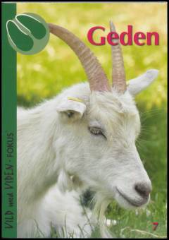 Geden