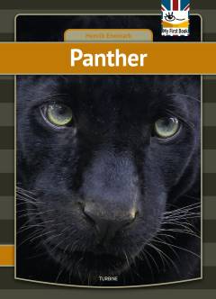 Panther