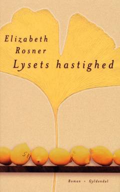 Lysets hastighed : en roman