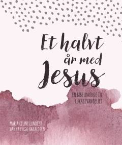 Et halvt år med Jesus : en bibeldagbog til Lukasevangeliet