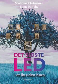 Det sidste led : et liv uden børn