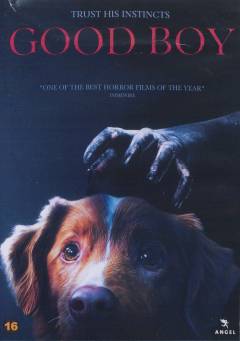 Good boy